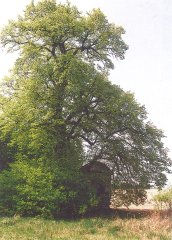 celkový pohled na kapličku