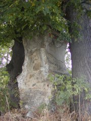 pohled zezadu zleva