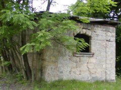 pohled zezadu zleva