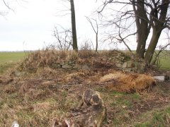 pohled zprava