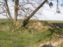 pohled zepředu zleva