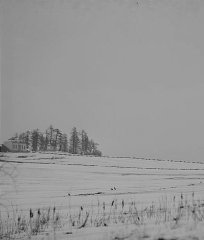 pohled přes pole na kapli