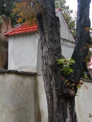 pohled zepředu zleva