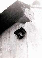 detail poškozeného okraje střechy