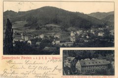 dobová pohlednice vsi s kostelem