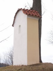 pohled zezadu zleva