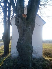 pohled zezadu