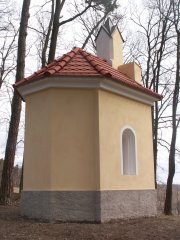 pohled zezadu zleva
