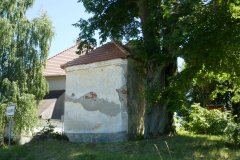 pohled zezadu zleva