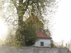 pohled zezadu