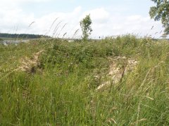 pohled zepředu