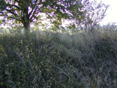 pohled zprava