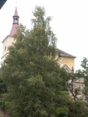 pohled zezadu zprava
