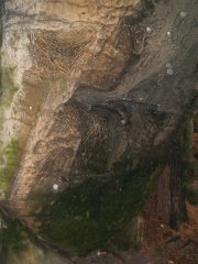 pohled zepředu zleva