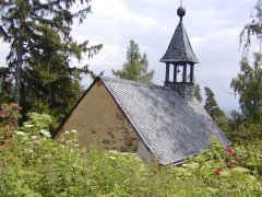 pohled zezadu zleva