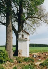 pohled zezadu zleva