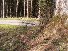 místo zbořené kaple