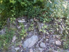 pohled na trosky kaple