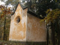 pohled zezadu zleva