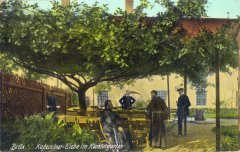 dobová pohlednice s námětem klášterní zahrady