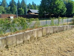 pohled na část hřbitova