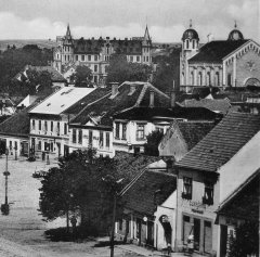 celkový pohled na město, v pozadí zámek a synagoga