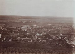 celkový pohled na město (synagoga vpravo)
