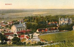 dobová pohlednice města se synagogou
