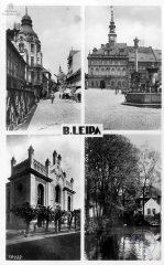 historická pohlednice města se synagogou (vlevo dole)