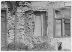 historické foto synagogy