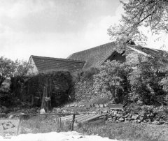 historické foto synagogy