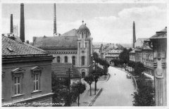 synagoga na dobové pohlednici