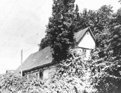 historické foto synagogy