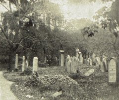 historické foto hřbitova
