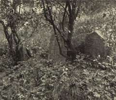 historické foto hřbitova