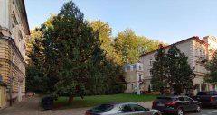 pohled na místo, kde synagoga stála