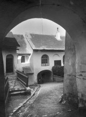 bibliotéka synagogy