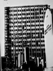 historické foto hřbitova