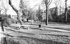 hřbitovní plocha bez náhrobků (park)