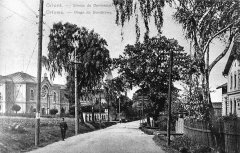 historická pohlednice se synagogou (vlevo)