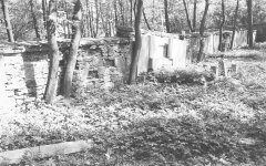 trosky hřbitova