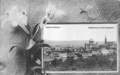dobová pohlednice města se synagogou