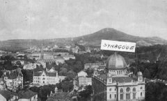 dobová pohlednice města se synagogou