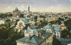 celkový pohled na město a synagogu