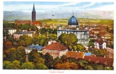 dobová pohlednice města se synagogou