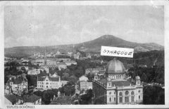 dobová pohlednice města se synagogou