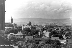 celkový pohled na město a synagogu