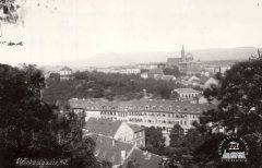 celkový pohled na město a synagogu v něm