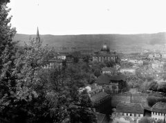 celkový pohled na město se synagogou