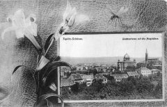 dobová pohlednice města se synagogou